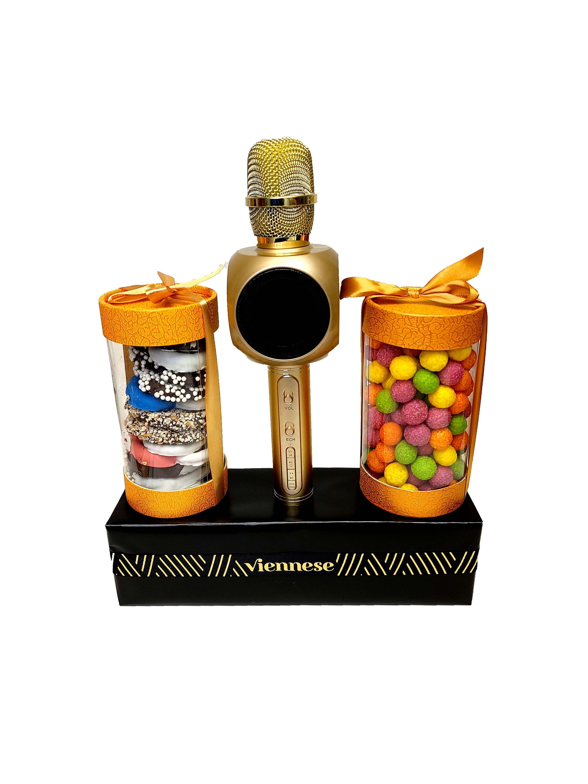Karaoke Microphone candy camp package